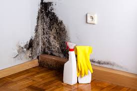 Mold Remediation for Vacation Homes in San Marino, CA